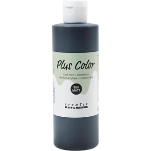 Plus Color Craft Paint