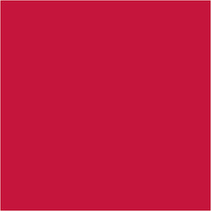 Plus Color Craft Paint