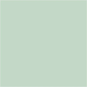 Plus Colour Craft Paint 60ml - Spring Green