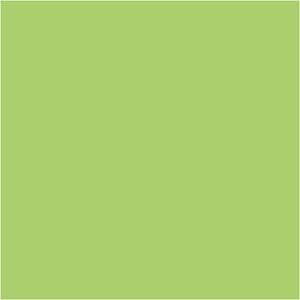 Plus Color Craft Paint