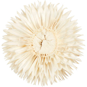 Dried Flower Heads