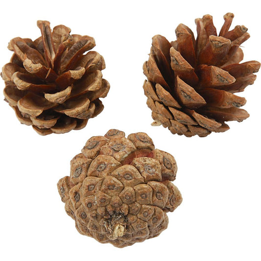 Pine Cones D:40mm 500g