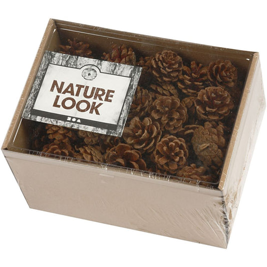 Pine Cones D:40mm 500g