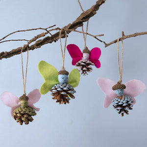 Larch Cones (12 Pack)