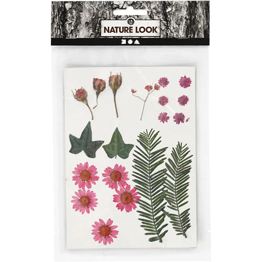 Pressed Flowers and leaves