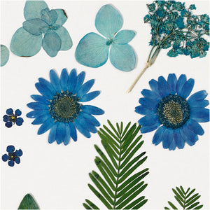 Pressed Flowers and leaves