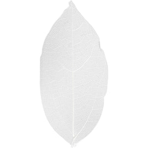 Skeleton leaves