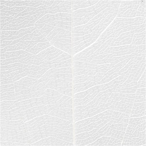 Skeleton leaves