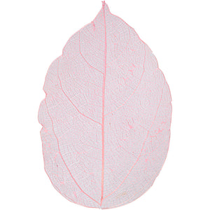 Skeleton leaves