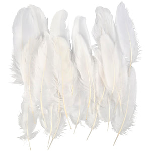 Feathers