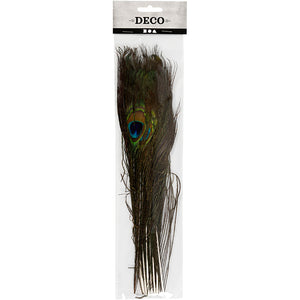 Peacock feathers