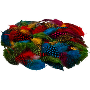 Guinea fowl feathers