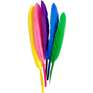 Feathers