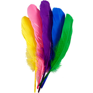 Feathers