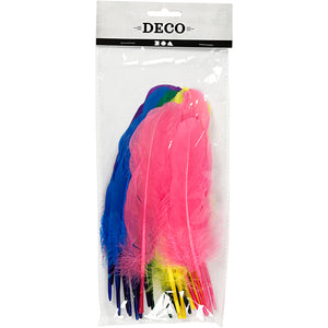 Feathers
