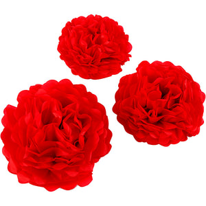 Tissue Pompons