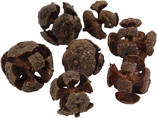 Cypress Craft Cones - 20mm (40 Pack)