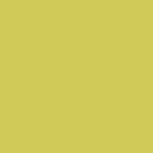 Textile Paint Opaque Kiwi 250ml