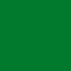 Textile Paint Opaque Brilliant Green 250ml