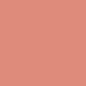 Chalkboard Paint - Orange 250ml