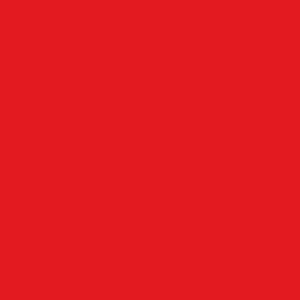 Outdoor Paint Silky Matte Opaque Red 250ml