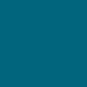 Outdoor Paint Silky Matte Opaque Blue 250ml
