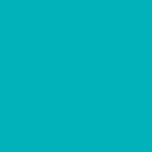 Outdoor Paint Silky Matte Opaque Turquoise Blue 250ml
