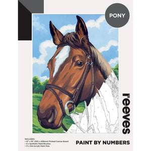 Reeves Paint By Numbers 12X16 Pony