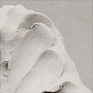 Self-Hardening Clay - White (1000g)