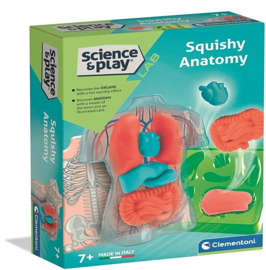 Science & Play - Squishy Anatomy