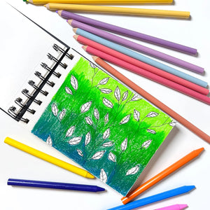 Elements Wire-O Hard Cover Sketch Book Black Landscape - A4