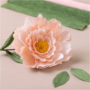 Mini Craft Kit Crepe Paper