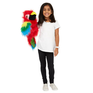 Large Birds: Amazon Macaw Puppet