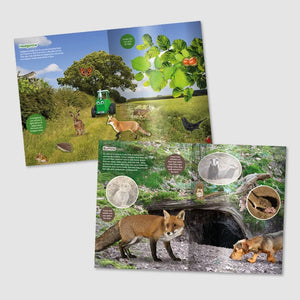 Tractor Ted Fantastic Farm Sticker Book