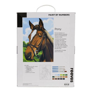 Reeves Paint By Numbers 12X16 Pony