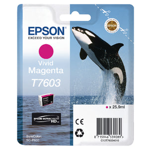 Epson T7603 Ink Cartridge Ultra Chrome HD Killer Whale Vivid Magenta C13T76034010
