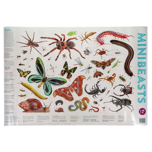 Help With Homework Wallcharts - Nature (3 Pack)