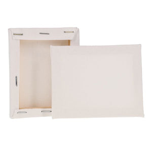 Mini Canvas (2 Pack)