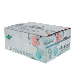 Mini Canvas (2 Pack)