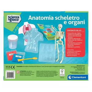 Clementoni anatomy skeleton and organs kit packaging on a white background