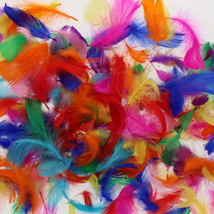 Crafty Bitz Bag - Exotic Feathers 10g