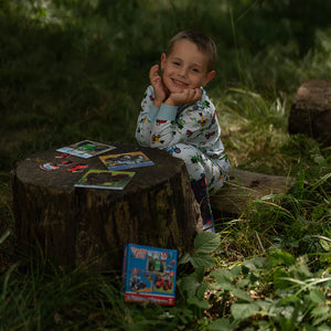 Tractor Ted Picture Puzzles - Tractors (3 Puzzles)