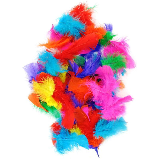 Asstorted Colour Feathers Pack Of 200