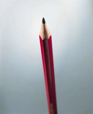 STABILO All Coloured Pencil - Graphite