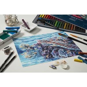 DERWENT 12  INKTENSE BLOCKS