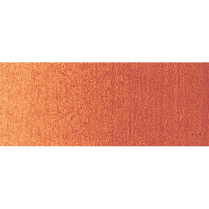 Professional Burnt Sienna 60ml Tube