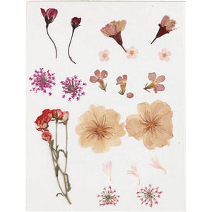 Pressed Flowers, Light Rose, 1 Pac