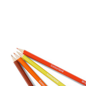 Colourland Pencil Carton of 36