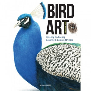 SP - Bird Art