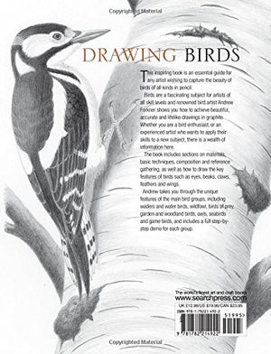 Sp - Drawing Birds